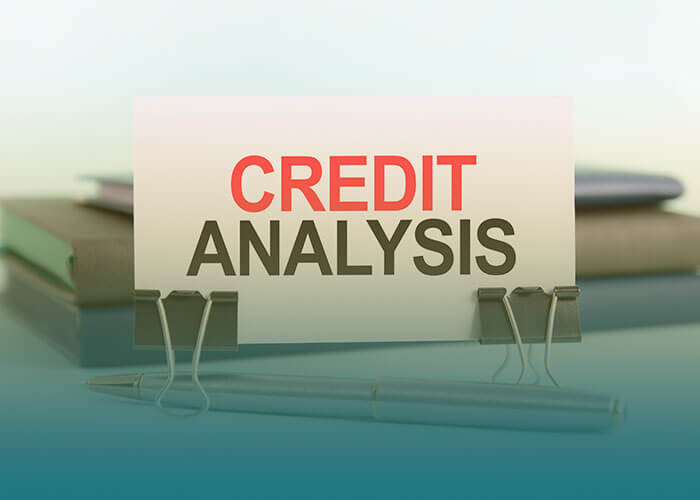 Analysis-Credit-Report